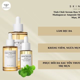 Tinh Chất Rau Má Skin1004 Madagascar Centella Asiatica 100 Ampoule (100ml)