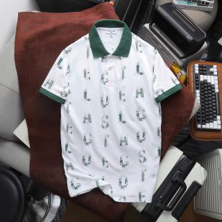 Áo polo nam. Chất 100% COTTON cá sấu hàng xuất dư