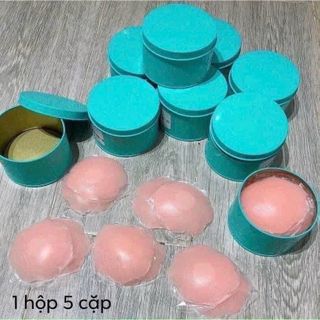 SET 5 CẶP DÁN NHŨ HOA HỘP THIẾC NIPPLE