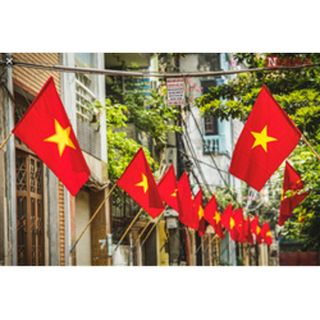 CỜ TỔ QUỐC , CỜ ĐỎ SAO VÀNG , QUỐC KỲ VIỆT NAM
