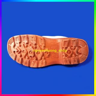 GIÀY PHÒNG SẠCH ĐẾ KẾP CHỐNG TĨNH ĐIỆN MŨI SẮT CHỐNG ĐINH, CHỐNG DẬP NGÓN, CHỐNG TRƠN TRƯỢT GIÀY BẢO HỘ LAO ĐỘNG
