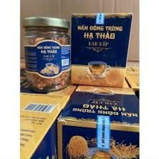 NẤM ĐÔNG TRÙNG HẠ THẢO Khô Cao Cấp Tốt Cho Sức Khoẻ