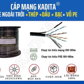 Dây cáp 8 lõi xoắn 305M (CAT5 ngoài trời - thép - dầu - bạc - vỏ PE) - FV