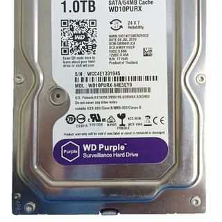 Ổ cứng HDD Western Tím - Hàng Công Ty | BH 24 tháng