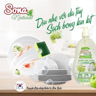 Nước Rửa Chén Sinh Học SONA NATURAL Hương Táo 860Gr | Sản phẩm Sinh Học Được Chiết Xuất Từ Thiên Nhiên