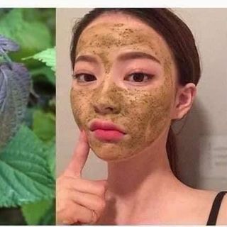 Bán Bột Lá Tía Tô nguyên Chất xấy lạnh