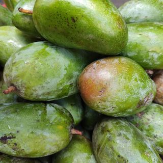 Xoài Miên loại vừa, trái đều
