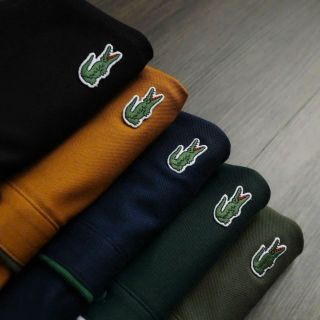 áo polo cổ bẻ nam tính