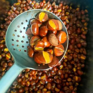 Hạt dẻ cao bằng sống