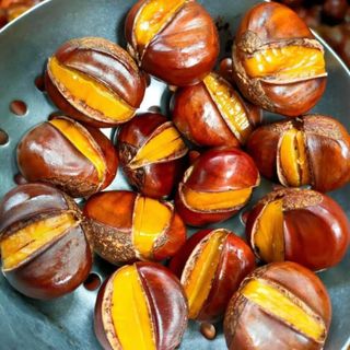Hạt dẻ cao bằng sống