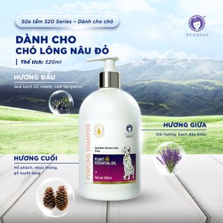 Sữa Tắm Cho Chó XUEDIAO 520ml - Thơm Lâu 7 Ngày, Tinh Dầu Đức, Diệt Khuẩn, Trị Ve Rận Cao Cấp