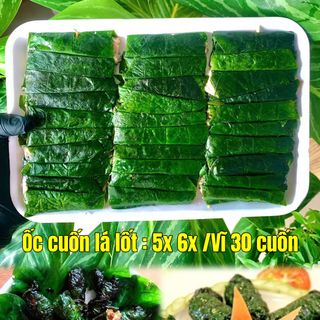Tìm đại lý phân phối thực phẩm đông lạnh giá tại xưởng