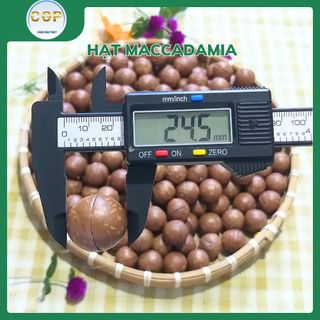 Hạt Macadamia CGP - Túi 400g, Hạt Macca Ngon Béo Bùi - Ăn Vặt Lành Mạnh, 100% Tự Nhiên, Giá Ưu Đãi!