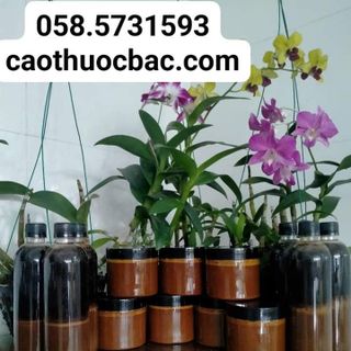CAO SÂM THUỐC BẮC, TẮM TRẮNG, TÁI TẠO DA NGỌC LINH.