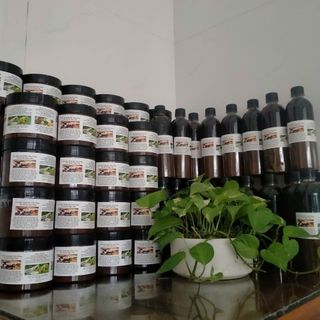 CAO SÂM THUỐC BẮC, TẮM TRẮNG, TÁI TẠO DA NGỌC LINH.