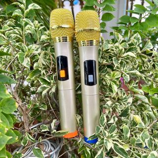 Loa Bluetooth kèm 2 mic Vb8888 2 bas16 ! 🎼🎼🎼