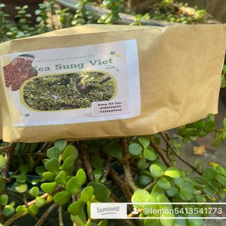 TEA SUNG VIET