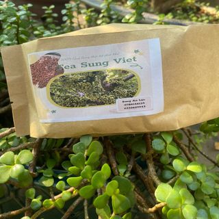 TEA SUNG VIET