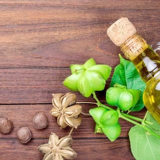 Dầu Sachi Extra Virgin – Dầu Sachi Nguyên Chất Giá Sỉ Chất Lượng Cao Từ Tuk Green