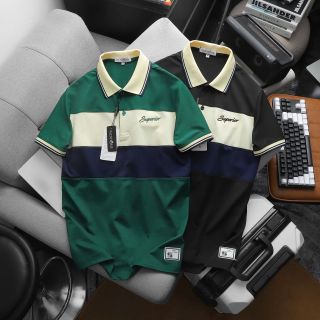 ÁO THUN CỔ BẺ PACK SUPER CHẤT CÁ SẤU LẠNH P268 - LADY'S PASSION