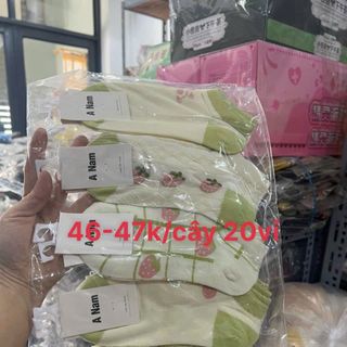 Tất ngắn màu các kiểu thời trang trend(theo vỉ)giá trên sản phẩm