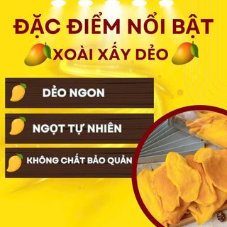 XOÀI SẤY DẺO HỦ 300G TC11 - LADY'S PASSION