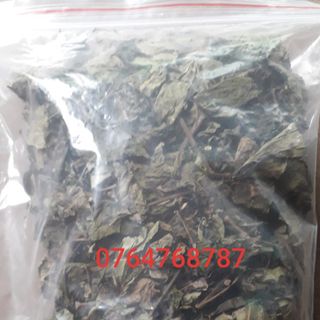 Lá lốt nhà vườn (tươi)