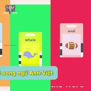 MÁY ĐỌC THẺ SONG NGỮ ANH VIỆT 255 THẺ 510 TỪ VỰNG
