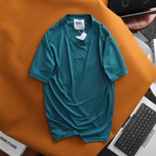 Áo thun cotton cao cấp