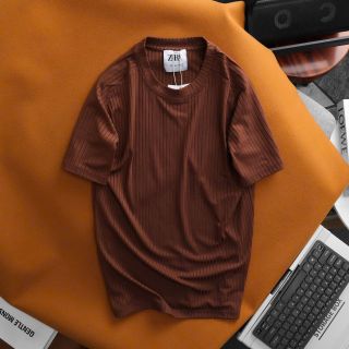 Áo thun cotton cao cấp