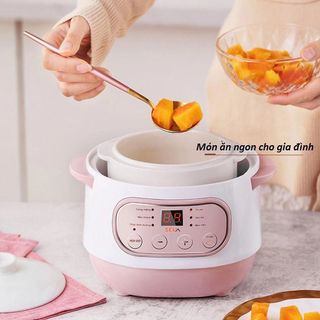 NỒI NẤU CHÁO CHẬM, CHƯNG YẾN SEKA 1L GT68