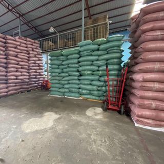 Cà phê nhân xanh - robusta hàng cà phê vối tây nguyên xô thu mua từ dân giá sỉ giá bán buôn