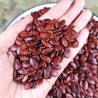 HẠT DƯA RANG TÚI 500G H013 - LADY'S PASSION