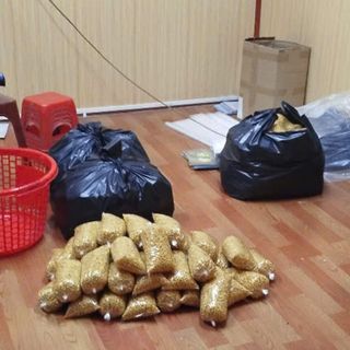 Tuyển Nhà Phân Phối, Đại Lý, CTV Toàn Quốc Cho Sản Phẩm Ngô Non Sấy Giòn