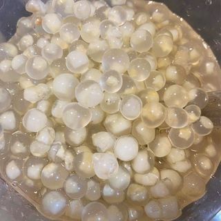 Hạt Nổ Củ Năng Trắng Giá Bán Sỉ Nhiều Thạch Ít Nước Mon Búc Xia Đóng Lon 850g