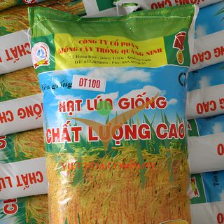 Bao đựng lúa được mùa