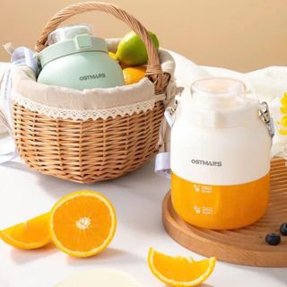 MÁY XAY SINH TỐ MINI TÍCH ĐIỆN OSTMARS 800ML