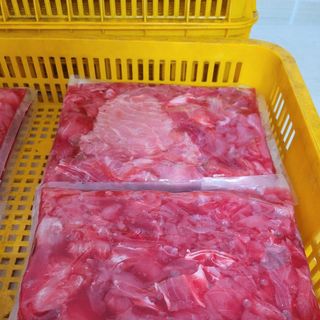 Thịt Vụn rẻo cá ngừ đại dương chuẩn xuất khẩu chuyên dùng cho làm ruốc, cơm nắm...