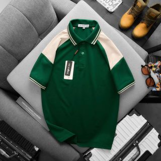 ÁO NAM, ÁO POLO NAM, ÁO THUN CÓ CỔ, ÁO THUN CỔ BẺ, POLO RMN