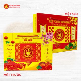 TÚI GIẤY MẪU XUÂN ĐỰNG HỘP YẾN SÀO THIÊN HOÀNG