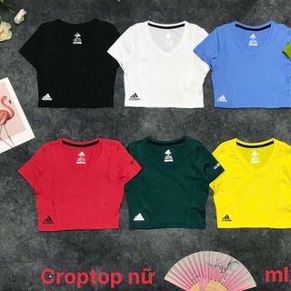 Áo croptop cổ tim nữ Chất liệu: poly Size: MLXLXXL Ri: 2222 Tách nửa ri được