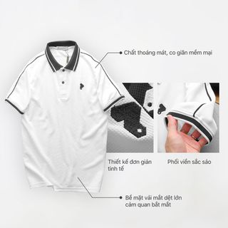 ÁO NAM, ÁO POLO NAM, ÁO THUN CÓ CỔ, ÁO THUN CỔ BẺ, POLO PACK VAR
