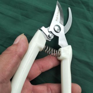 Kéo cắt cành