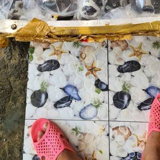 Chuyên cung cấp sỉ bạch tuộc sống cần giờ, giao toàn quốc