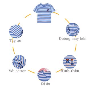Áo thun cổ tròn Kiteny, có size từ 11 đến 45kg, chất liệu vải cotton hai chiều, dày dặn và thấm hút