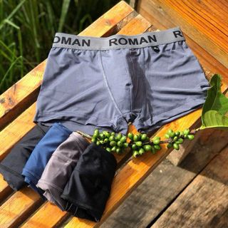 Quần lót nam, sịp nam đùi bản lưng lớn boxer ROMAN, HEROMAN, TONNY