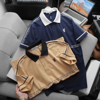 ÁO THUN CỔ BẺ ALEGANT CHẤT COTTON LỤA DẺO P273 - LADY'S PASSION