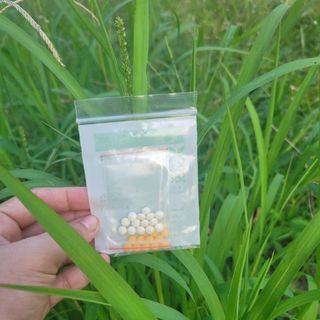 Detox khử mỡ thái lan