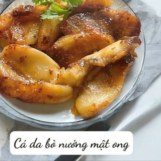CÁ DA BÒ PHI LÊ
