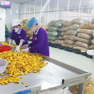 Mít thái sấy giòn giá sỉ giá bán buôn số lượng - hàng xá loại A túi nhôm thùng 7kg